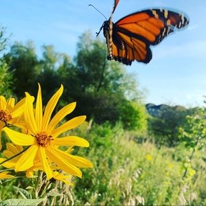 Meet your Posher, Addil